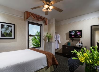 The Willows Hotel