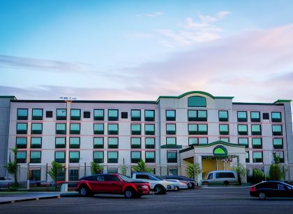 Wingate by Wyndham Calgary Airport