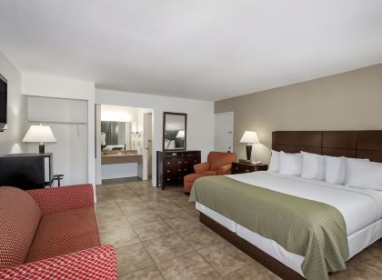 Days Inn by Wyndham St. Petersburg / Tampa Bay Area