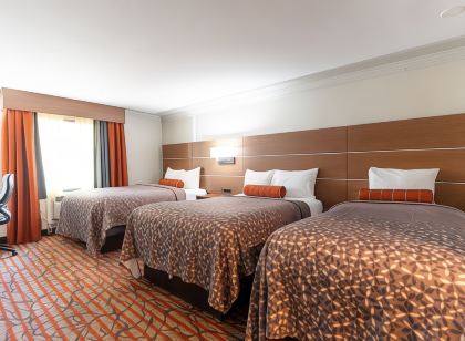 Kalika Hotel