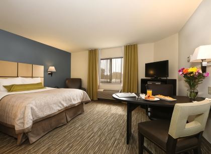 캔들우드 스위트 이스트 랜싱 언 IHG 호텔