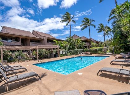 Modern & Tropical Oceanside Vistas