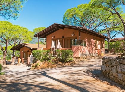 Camping Lacona Pineta