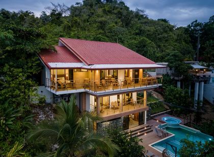 Breathtaking Jungle Views and Abundant Wildlife - Large pool.