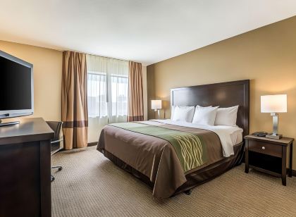 Comfort Inn Downtown