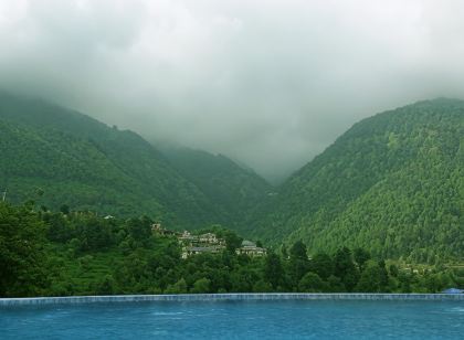 Araiya Palampur