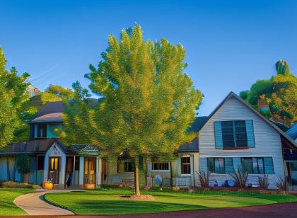 Sienna Lodge
