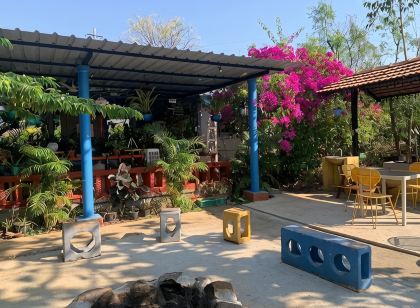 Wilderness Jungle Camp