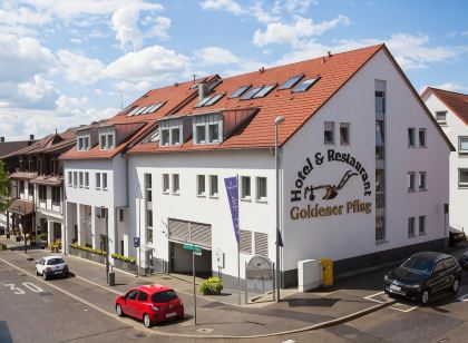 Hotel Goldener Pflug
