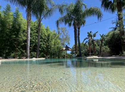 Cannes Villa St Barth : Maison d'hôtes de prestige 5 étoiles à Cannes - Piscine - SPA