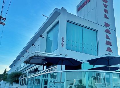 Hotel Palmar