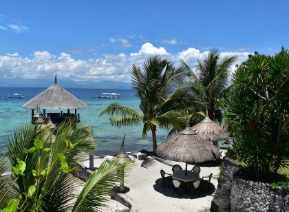 Dolphin House Resort Moalboal