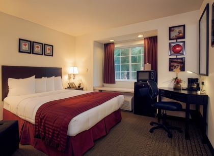 Sleep Inn Jacksonville Airport