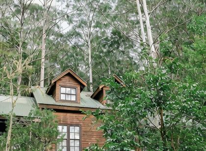 Treetops - Your Rainforest RetreatSurround yourself with nature.