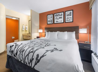 Sleep Inn Sarasota North