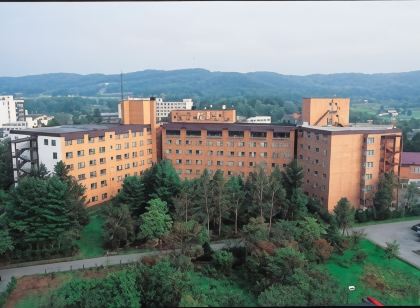 호텔 다이헤이겐