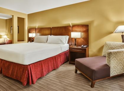 Holiday Inn Express & Suites HOUSTON SOUTH - PEARLAND by IHG