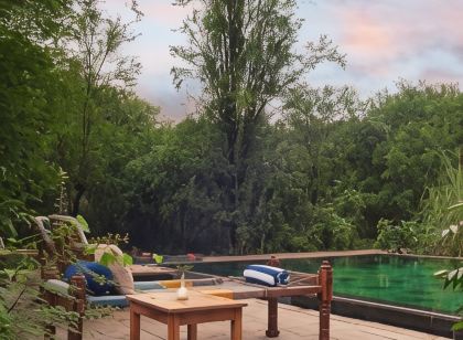 Trees N Tigers Luxury Wildlife Lodge