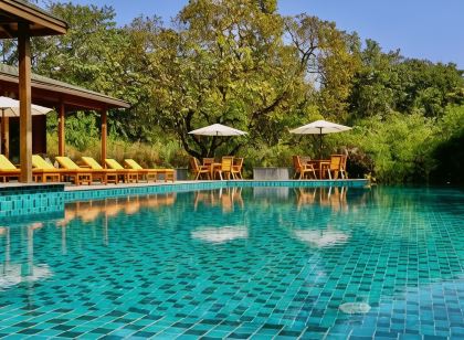 The Postcard Hideaway, Netravali Wildlife Sanctuary, Goa