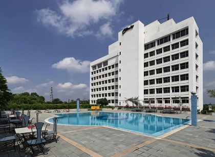 Clarks Avadh