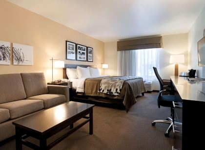 Sleep Inn & Suites Carlsbad Caverns Area