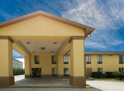 Ibis Setif