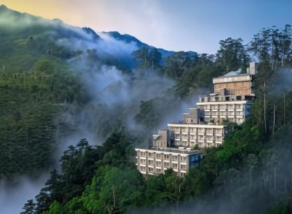 Chandys Windy Woods Munnar