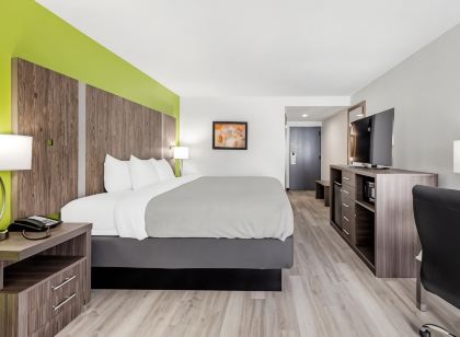 퀄리티 인 클라크스빌