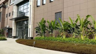 xinyage-apartment-hotel-rongde-international
