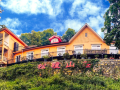 moganshan-pine-cereal-villa