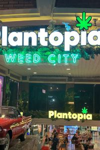 Naxxramas326 Page148, 晉緻酒店優惠