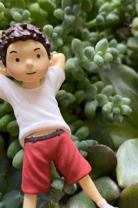 Omnis好物集