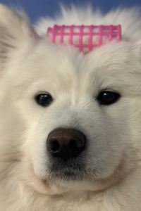 리뷰어 아시아레이크사이드호텔 쿠폰