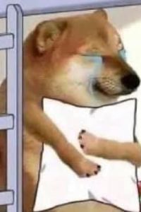 Alex00