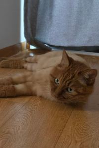 리뷰어 위드유 호텔 & 게스트하우스 쿠폰