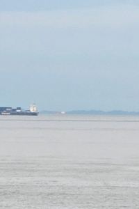 wind265