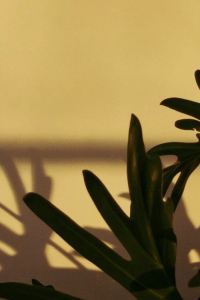 au_ua 파주 테라 펜션 쿠폰