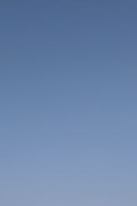 리뷰어 하운드 호텔 서면 쿠폰