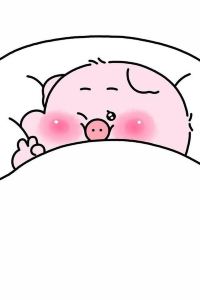 쪼디