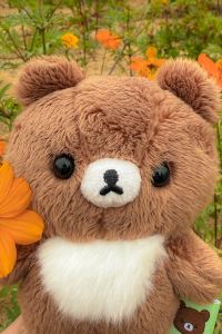 요를레욜레히호 Gyeongju The CL 쿠폰