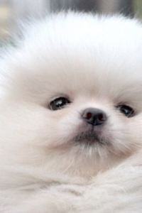 떠돌이인생
