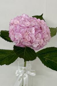 히힛히 수원밸류하이엔드호텔 쿠폰