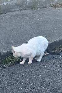 Kokoron 巴黎17區克利希-巴蒂尼奧勒宜必思酒店(前貝爾西爾酒店)優惠