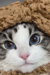 리뷰어
