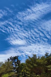 happy hui 阿斯頓·吉迪恩·巴淡酒店優惠