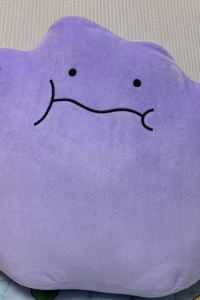 에코여행자 토요코인 대전정부청사앞 쿠폰