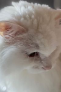 리뷰어