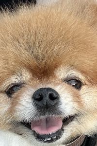 2017바다맘