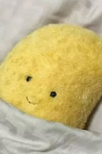 감자둥