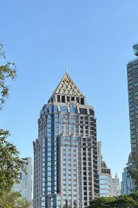 도파민중독자